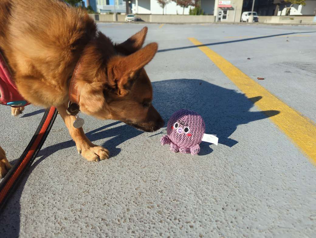 Anatomy of a Smear Campaign